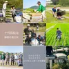 【令和5年産新米】特別栽培米　滋賀県産きぬむすめ 無洗米　縁起の竜王米