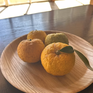 豊田市旭産 『柚子』 2kg　※梱包込