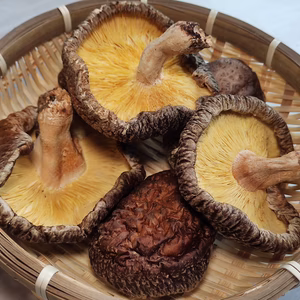 香菇（こうこ）特大  原木乾しいたけ 大分県国東産 特産品
