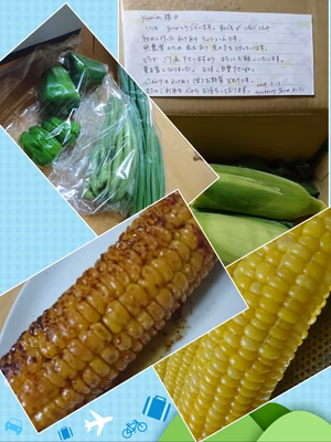 みんなの投稿の画像