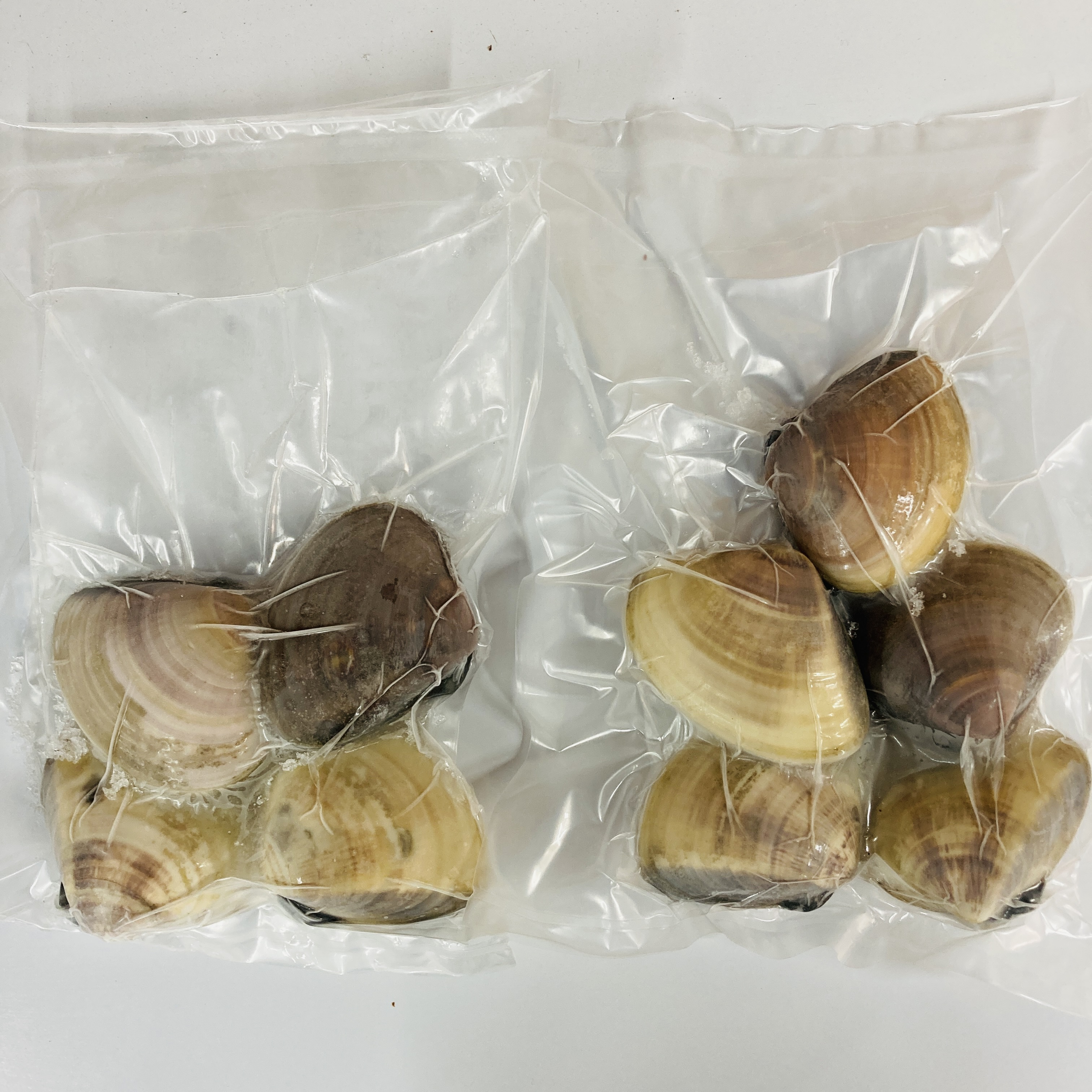 真空冷凍はまぐり（大） 1個100-150g 500g入り×1パック〜｜ハマグリの