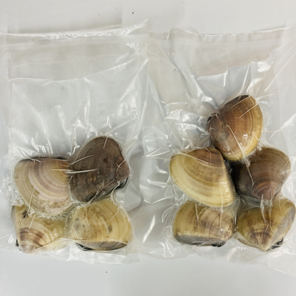 真空冷凍はまぐり（大） 1個100-150g 500g入り×1パック〜｜ハマグリの