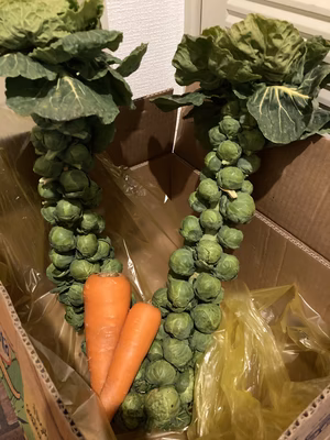 みんなの投稿の画像