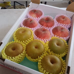 限定４ 贈答用桃梨セット