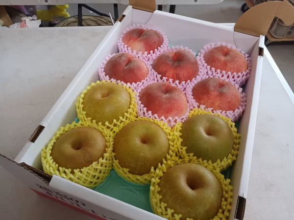 限定４ 贈答用桃梨セット