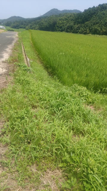 o0360064013379893496