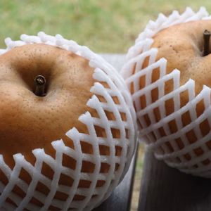 愛宕梨2kg箱　2個入　約1kg*2