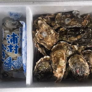 20％増量中！【生食用】三重県産 浦村かき むき身500g＋S～Mサイズ20個