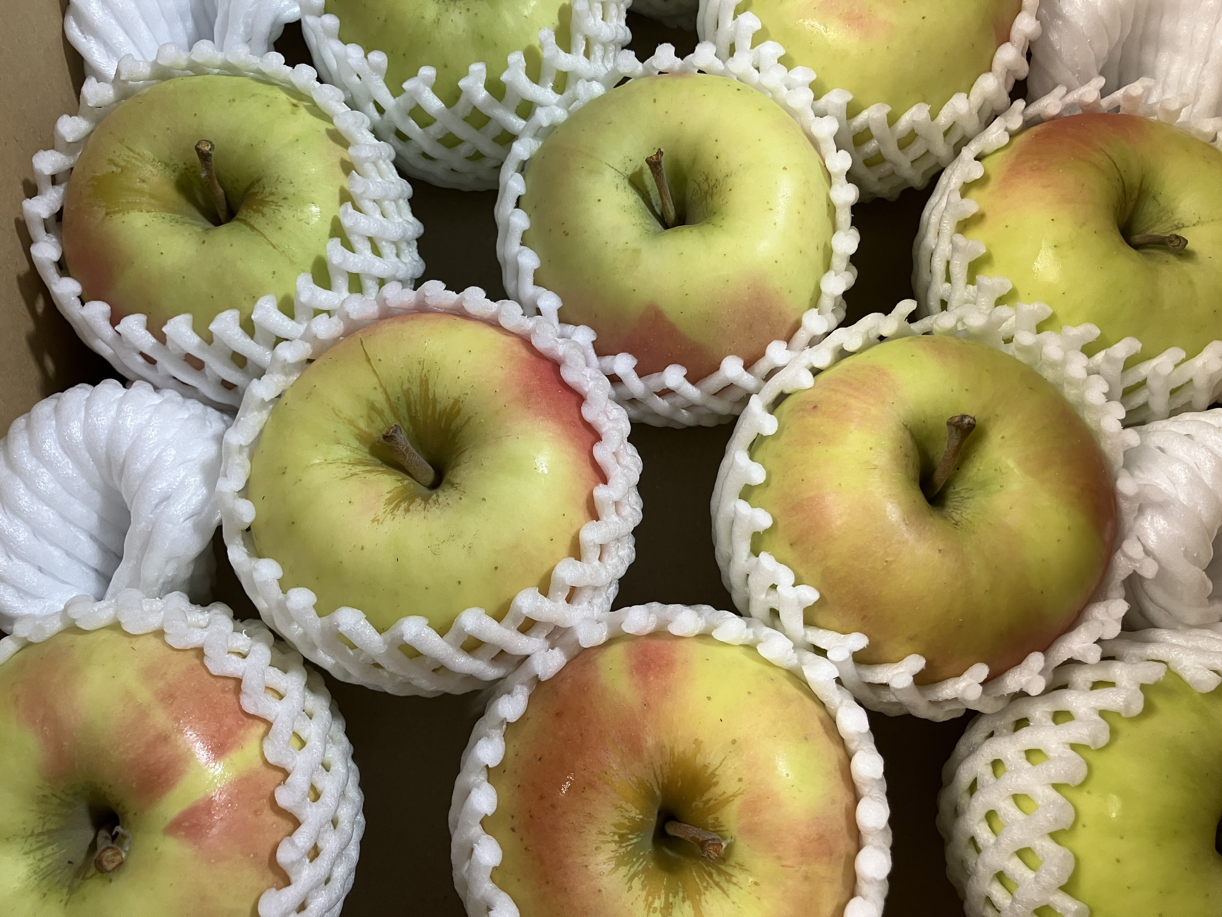 販売中！】青森県産りんご「ぐんま名月」家庭用 贈答用 キズ有 光