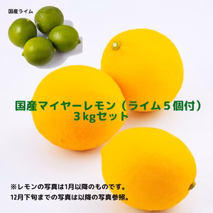 国産マイヤーレモン＋国産ライム5個セット(3kg)