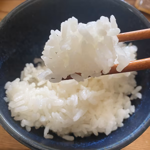 令和5年産　新米　きぬむすめ(玄米)