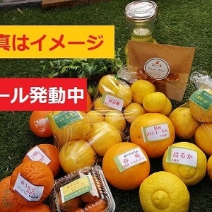 レモネード付】感謝セール❢6種の柑橘セット合計4kg（箱込み）と選ぶ豪華セット