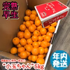 【完熟早生・有田みかん】“小玉ちゃん”／等級混合・約5kg【南泰園】
