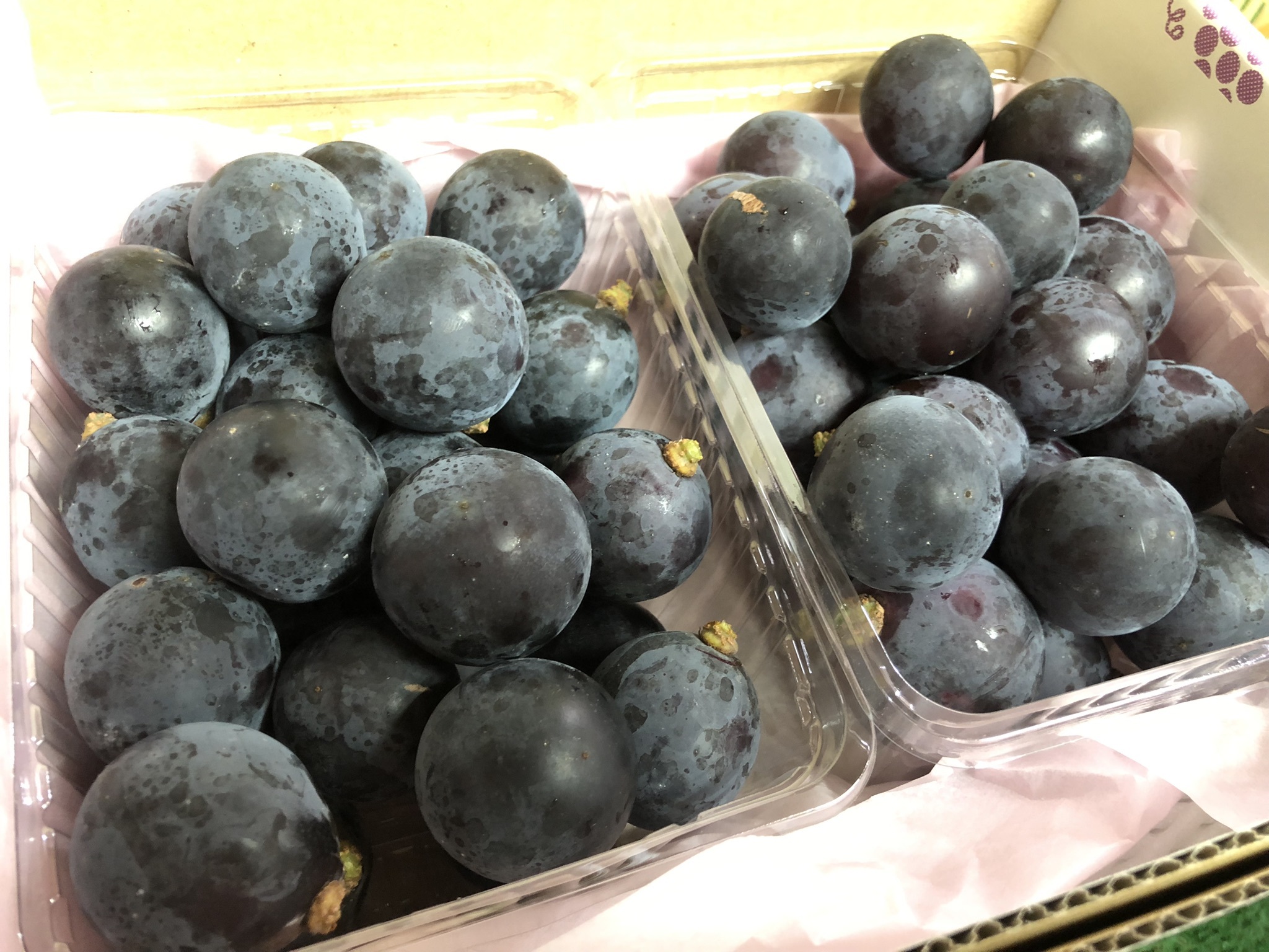果物の産直通販・お取り寄せ商品｜ポケットマルシェ｜産地直送で