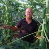 安岡正二 | アグリ土佐