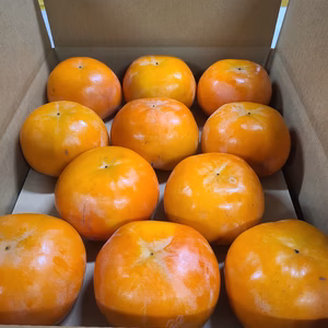 最終です☆富有柿☆大容量　4L以上二段22個入り（7.0キロ超）家庭用