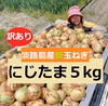 【訳】【肉厚ジューシー!!】淡路島産ブランド新玉ねぎ 『にじたま』訳あり5kg