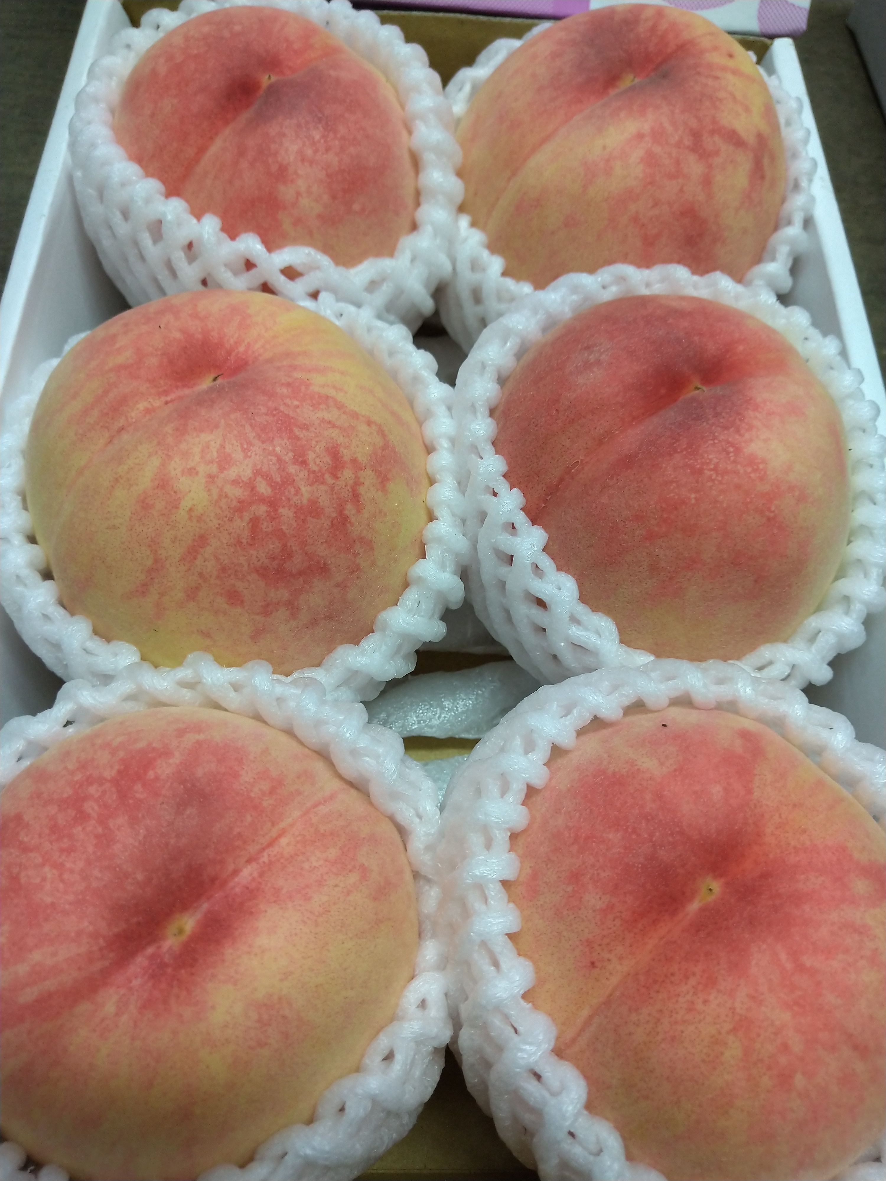 桃[2025年産]中生品種の代表格 あかつき[家庭用]BOX 約1.7kg(5〜7玉)