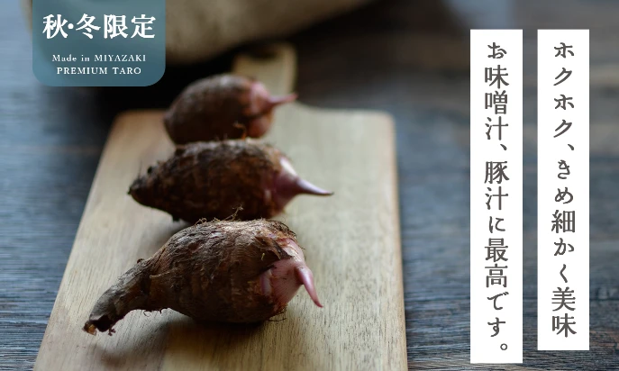 【希少品種！】創業160年の伝統の味！里芋 赤芽芋 セレベス 5kg 宮崎産