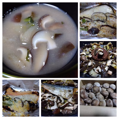 みんなの投稿の画像