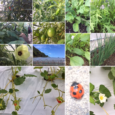 みんなの投稿の画像