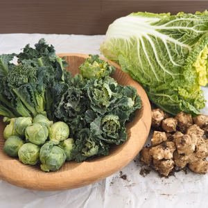 マンネリ打破！お弁当に最適　ミニ野菜セット