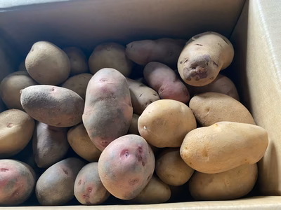 みんなの投稿の画像