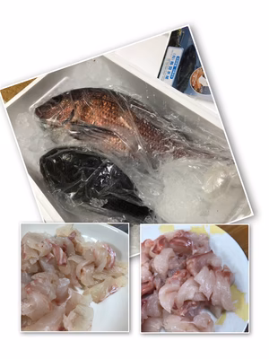 みんなの投稿の画像