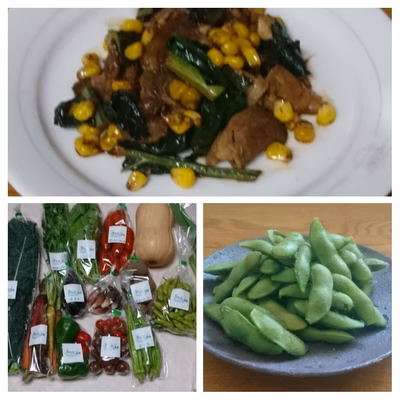 みんなの投稿の画像