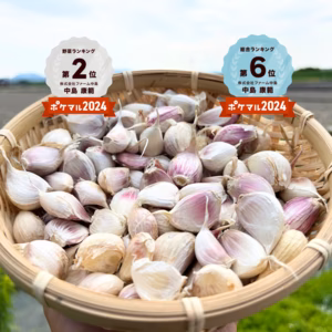 【最終値下げセール‼️】令和7年度物！累計1000箱突破！『おのんにんにく』