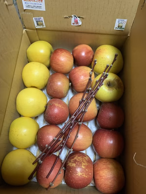 みんなの投稿の画像