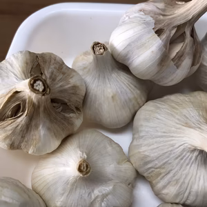 食品ロス削減品　大放出!  ガツンとくるにんにく　おまけ付き