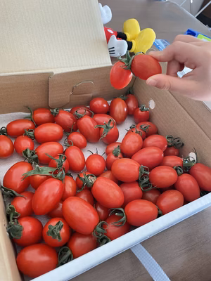 みんなの投稿の画像