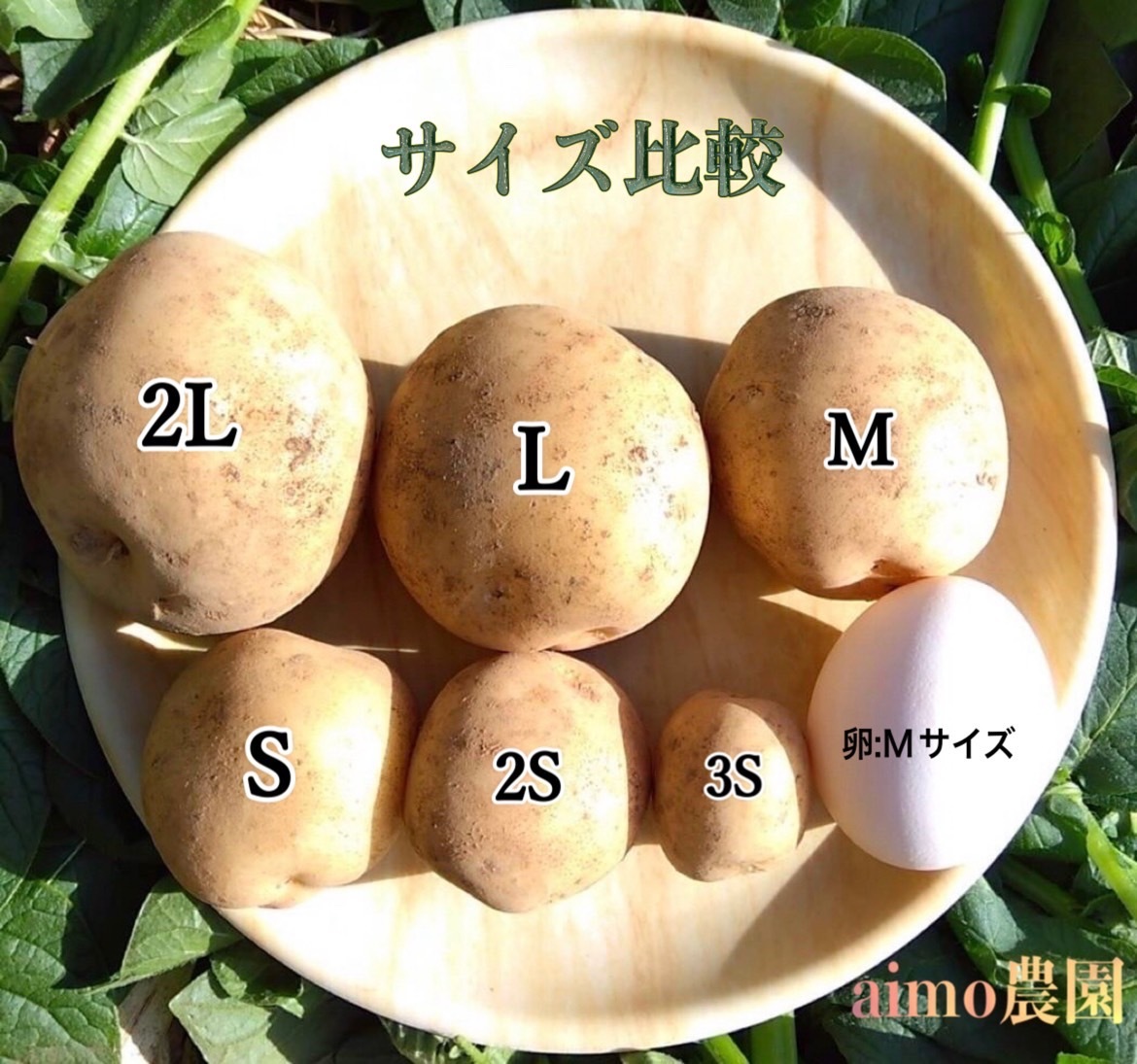 訳あり新じゃがいも ニシユタカ箱込み約3kg ご家庭用におすすめです - 野菜