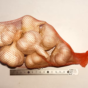 山形県赤倉温泉の伝承野菜           最上赤にんにく500g