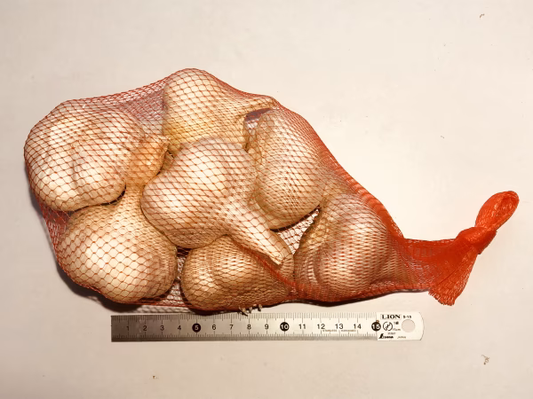 山形県赤倉温泉の伝承野菜           最上赤にんにく500g