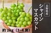 【500円引き】シャインマスカット 家庭用・約2kg／出店記念の特別価格！