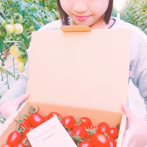 【お試し】小粒なアイコ@ちょいキズミニトマト