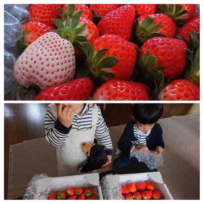 みんなの投稿の画像