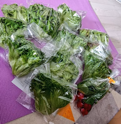 みんなの投稿の画像