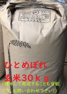 令和5年産ひとめぼれ玄米30ｋｇ｜米・穀類の商品詳細｜ポケット