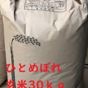 お買い得✨✨令和2年産ひとめぼれ玄米30ｋｇ