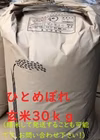 令和6年産ひとめぼれ玄米30ｋｇ