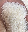 特別栽培米　コシヒカリ　白鳥飛来の里からお届けいたします