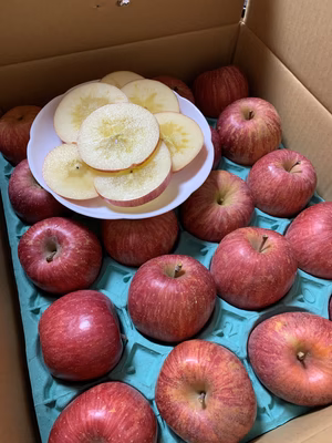 みんなの投稿の画像