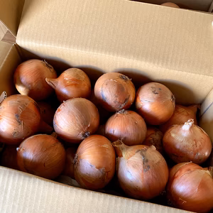 旨味ぎゅーっと✨淡路島産 玉ねぎ 10kg【長期保存可◎】