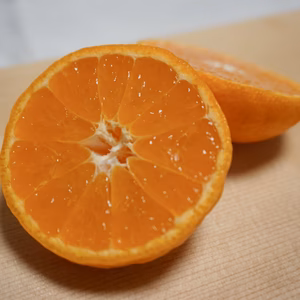 山下農園　本貯蔵　完熟中生みかん