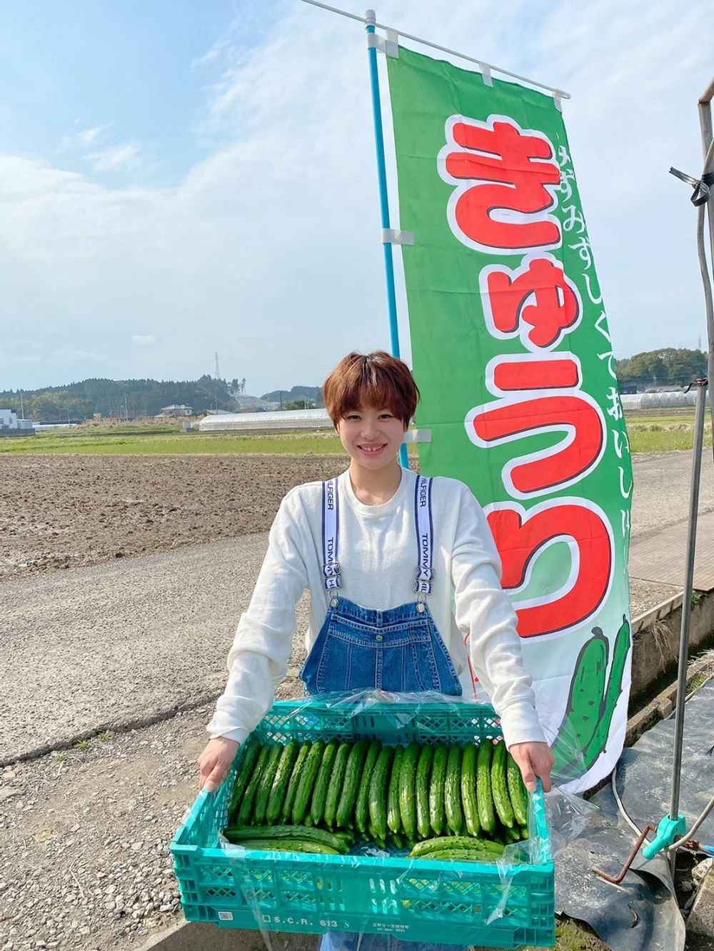 朝どれキュウリ