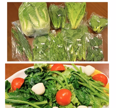 みんなの投稿の画像