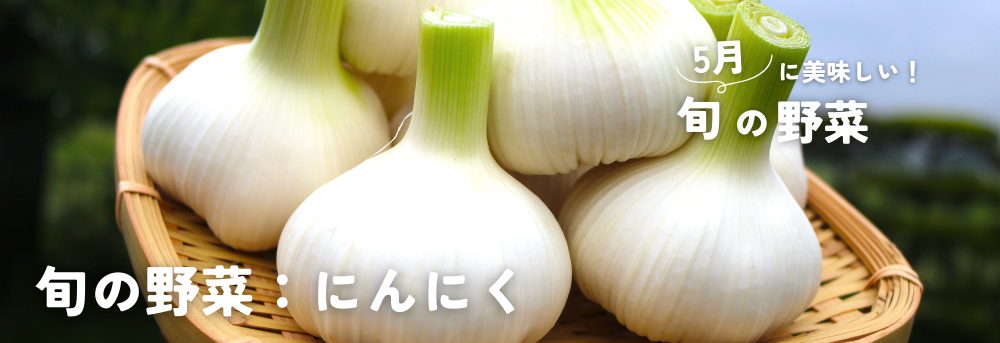 5月に旬のにんにく
